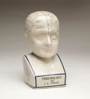 Phrenology Head