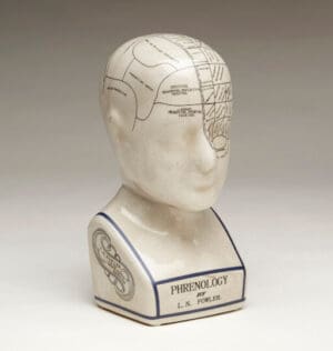 Phrenology Head 9.5in - Crackle Finish